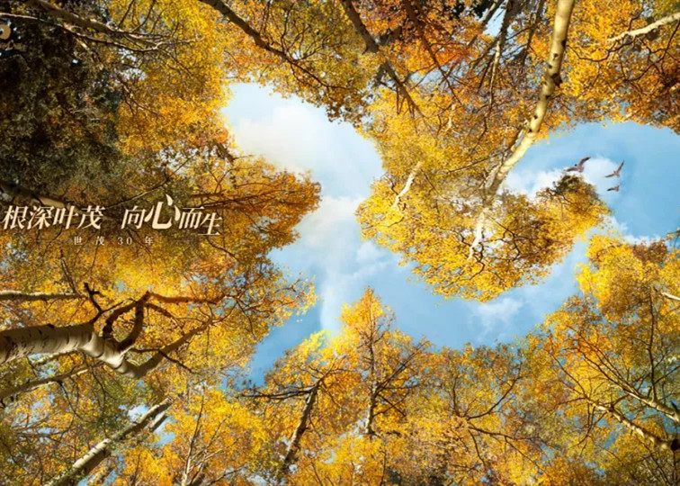 年度盘点 | 循世茂国风系的民族复兴之梦