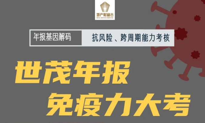 年报诊断⑧ | 冲上“2600亿高空”，世茂搭乘“大飞机”跻身前十